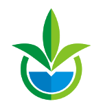 G AND N FORTUNE logo