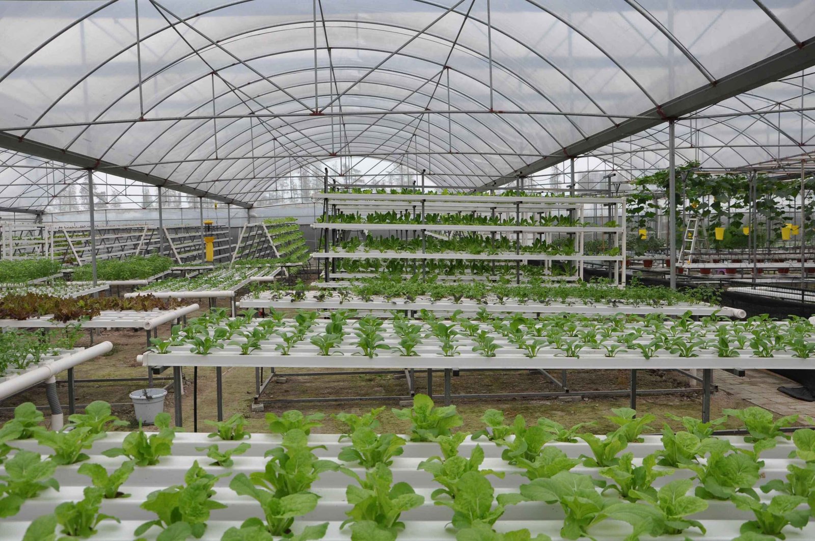 G And N Fortune Limited at AgraME 2018 Dubai exhibition