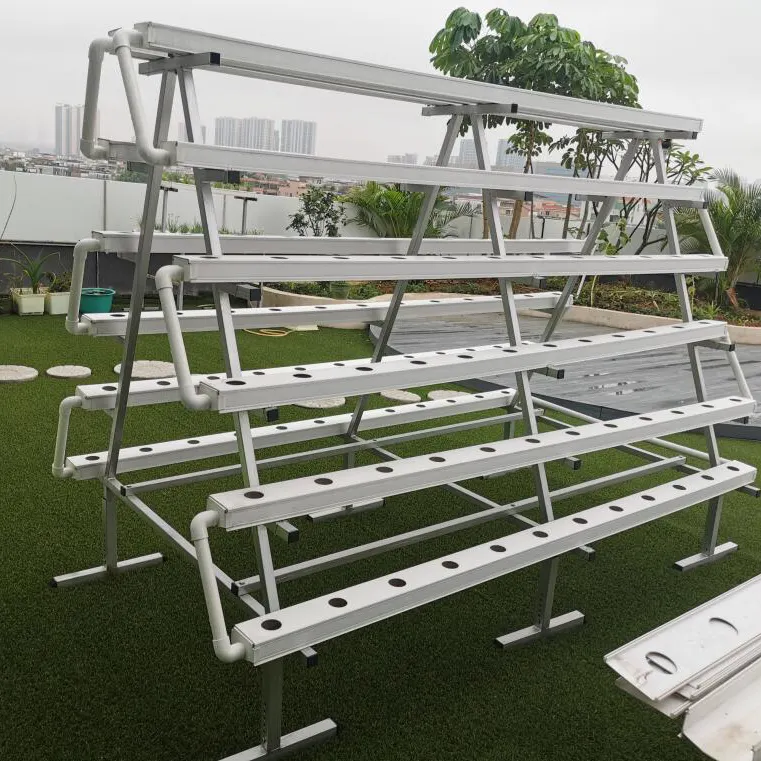 Good feedback from Indonesia hydroponic client