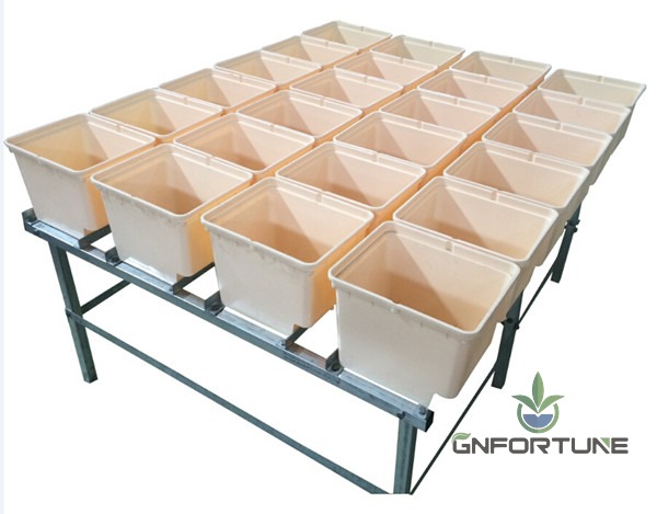Bato bucket rows installed on a metal rack for commercial hydroponic growing