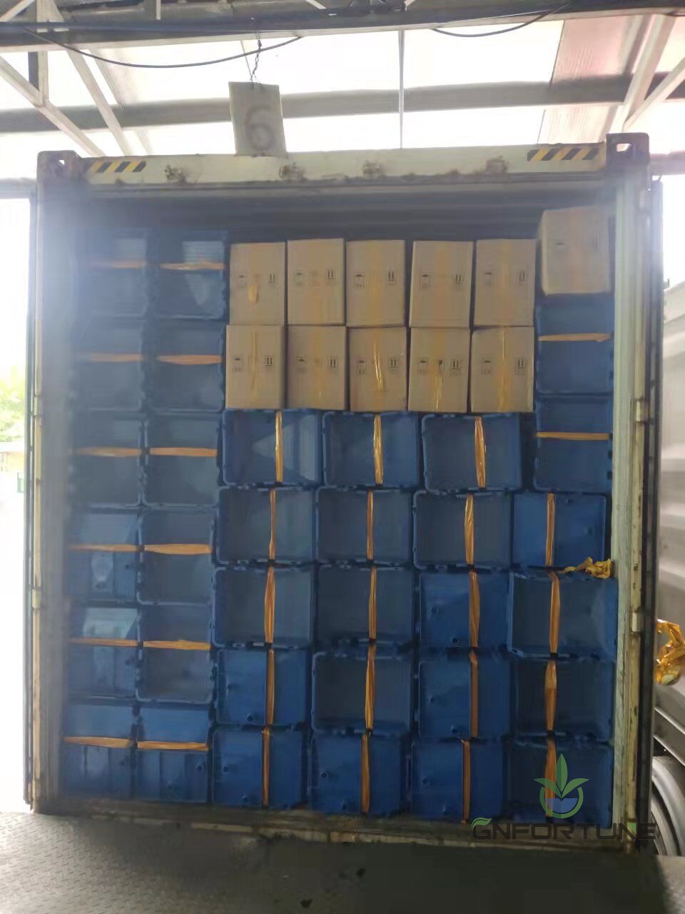 Crab farming boxes export packed in a wooden crate for bulk delivery
