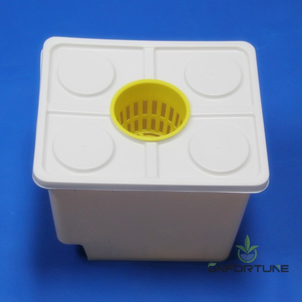 White Dutch bucket lid with net pot holding the plant above the nutrient solution