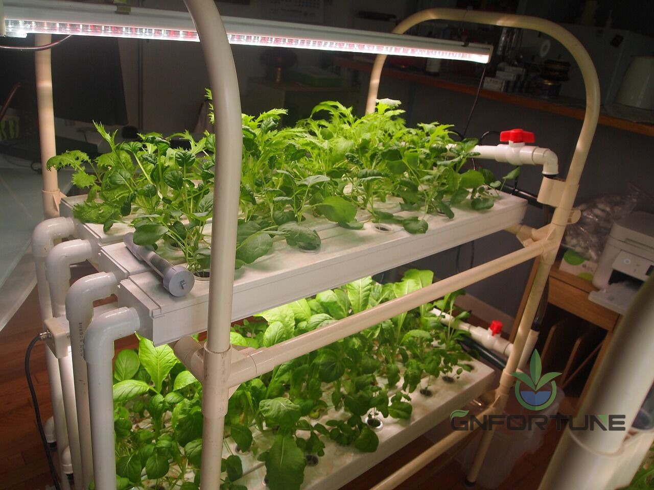 Mini NFT channel system growing leafy greens under a grow light on a home balcony