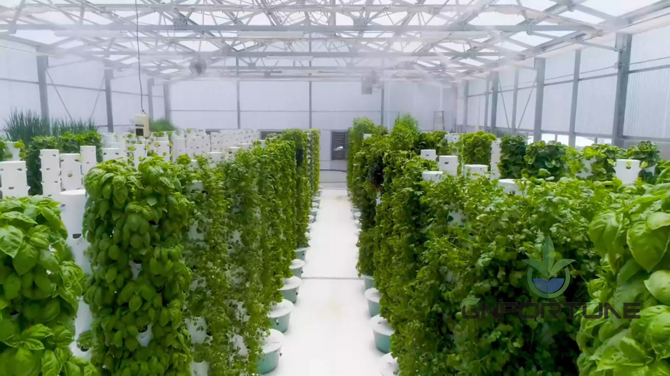 Long rows of vertical hydroponic towers growing leafy greens in a greenhouse