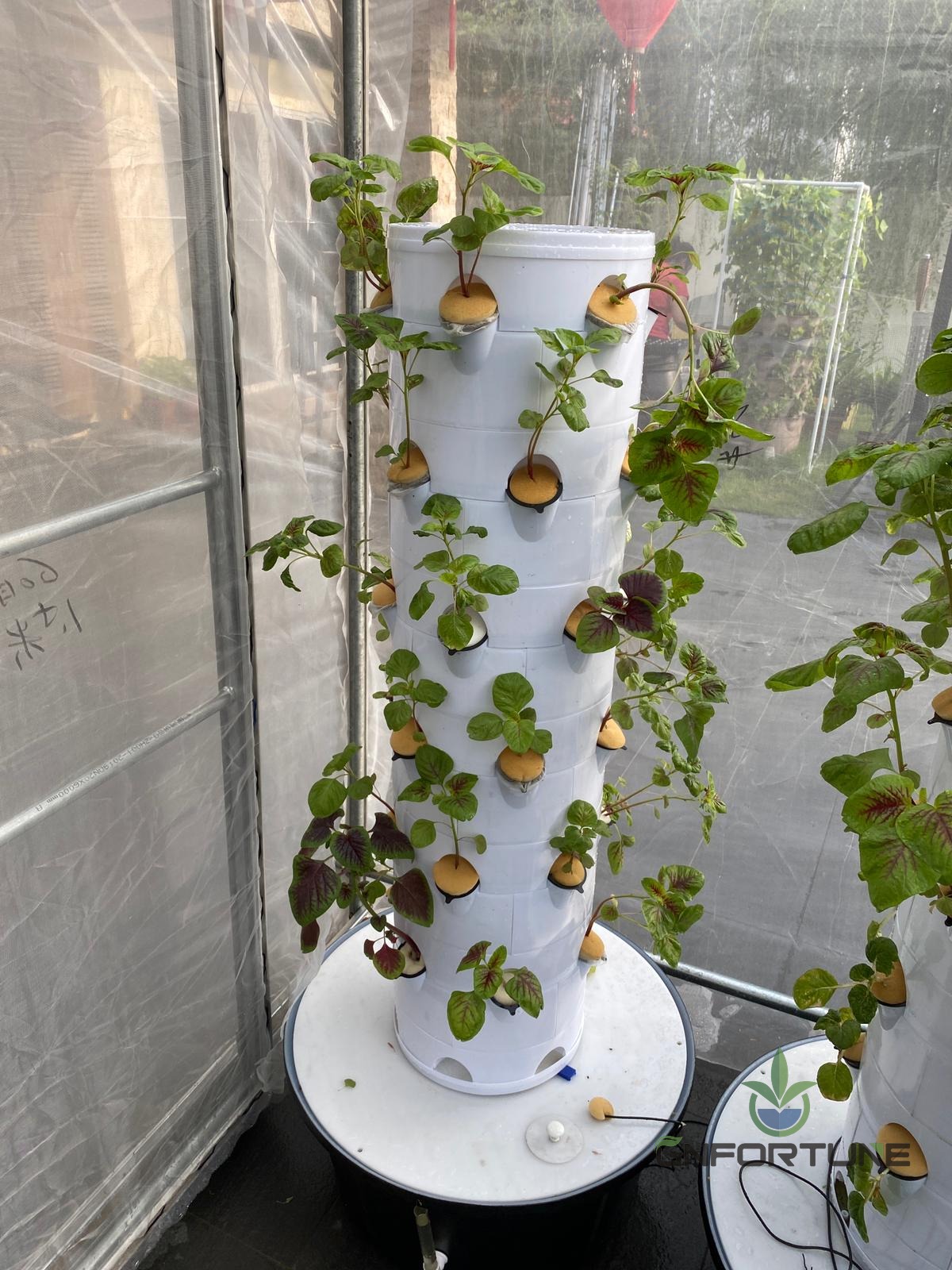 Indoor vertical hydroponic tower with plants growing beside a window