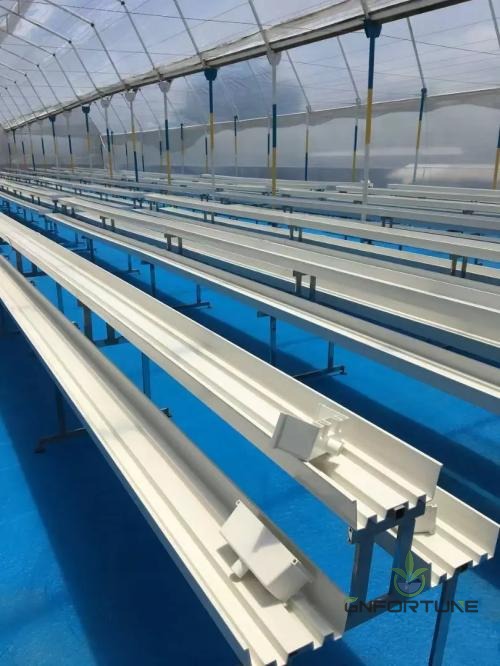 Multi-row PVC NFT hydroponic channel installation inside a commercial greenhouse