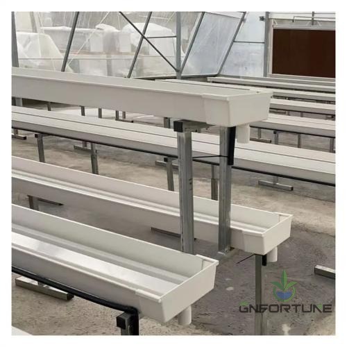 PVC NFT gutter rows installed on metal stands inside a greenhouse