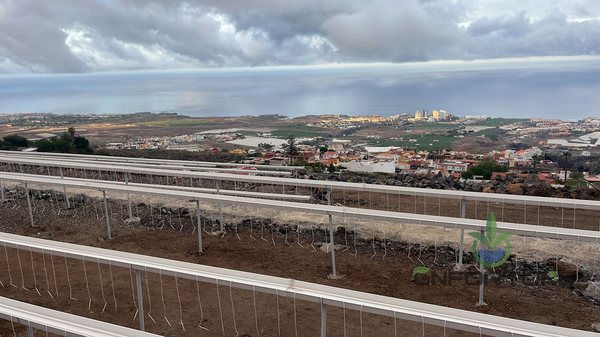 White substrate gutter rows mounted on posts in an open-field growing site