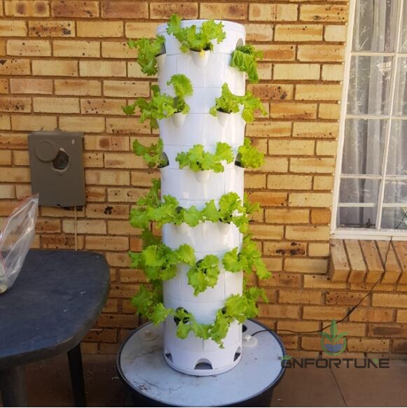 Hydroponic tower garden with lettuce growing on a home patio