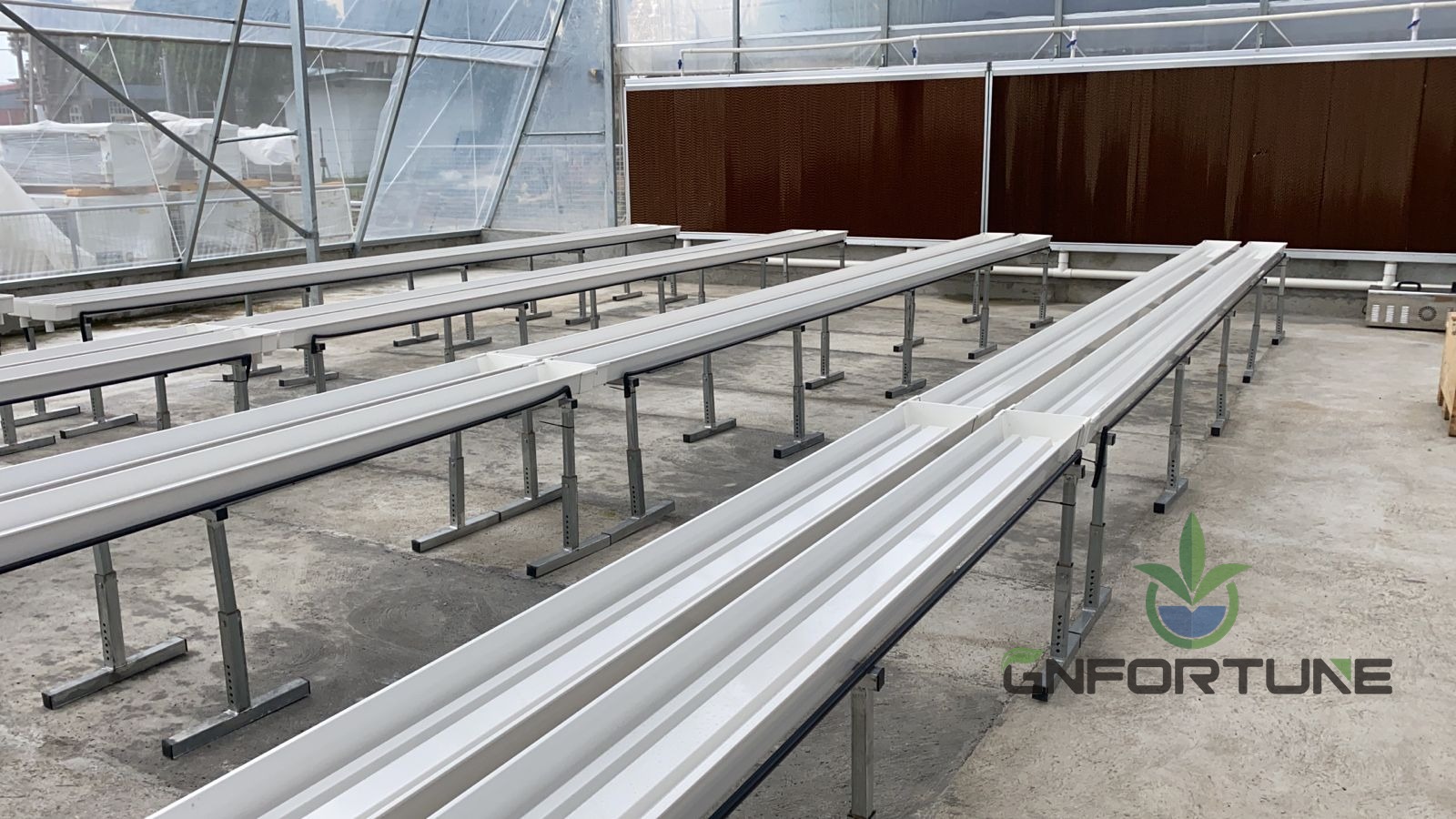 Rows of white PVC substrate gutters installed on metal stands inside a greenhouse